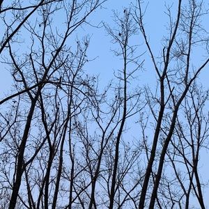 Meet your Posher, Domini